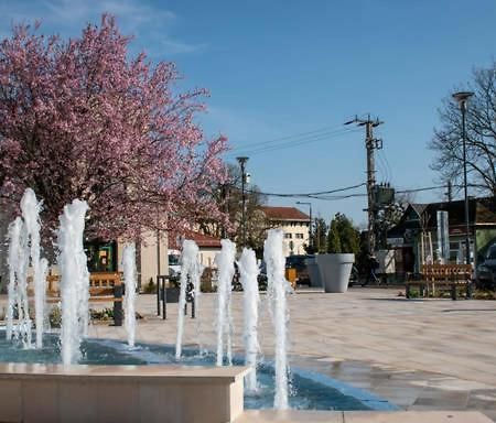 Thermal Apartman Tiszafuered エクステリア 写真