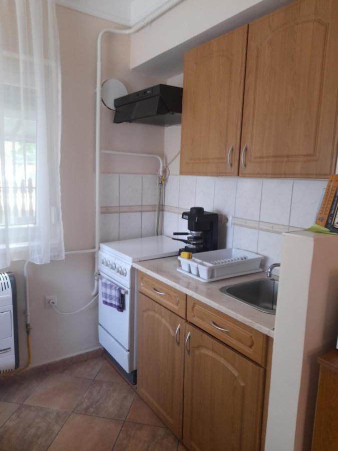 Thermal Apartman Tiszafuered エクステリア 写真