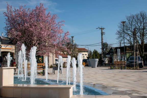 Thermal Apartman Tiszafuered エクステリア 写真